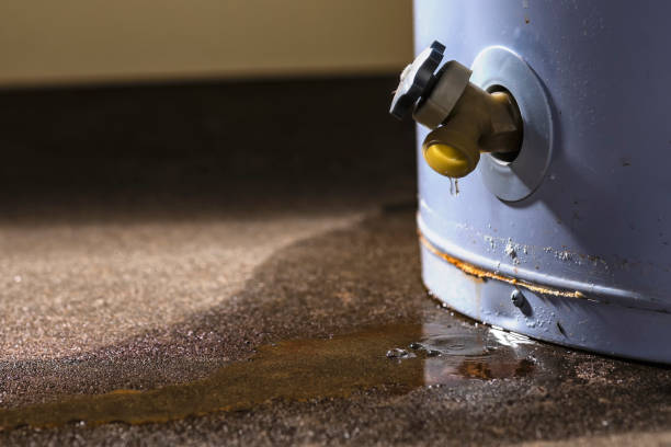 Best Ceiling water damage repair  in Powell, TN