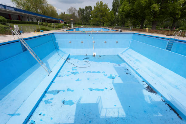 Best Basement water damage restoration  in Powell, TN