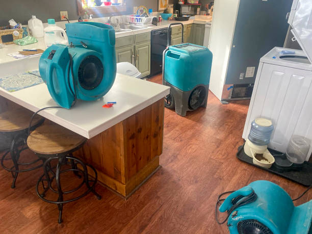 Best Water damage mitigation services  in Powell, TN