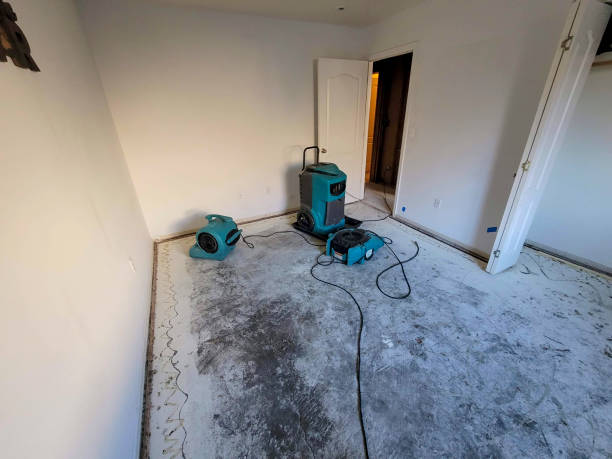 Best Emergency water damage restoration  in Powell, TN