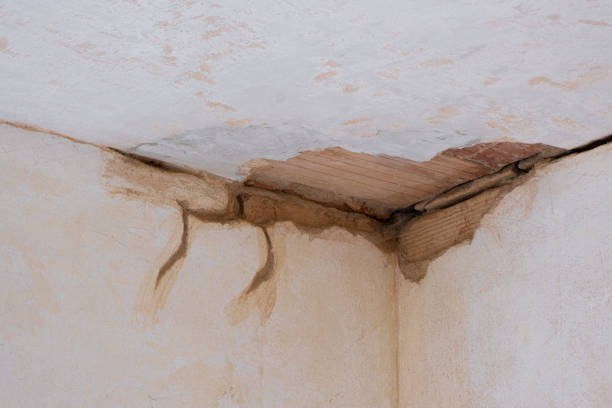 Best Water damage restoration services  in Powell, TN