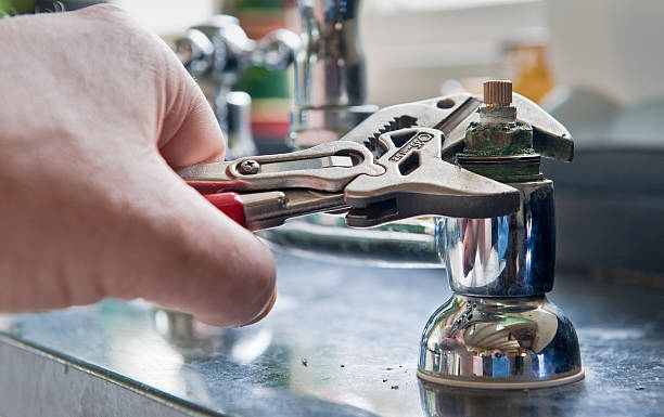 Best Professional water damage repair  in Powell, TN
