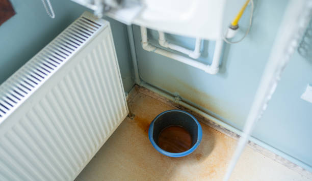 Best Residential water damage restoration  in Powell, TN