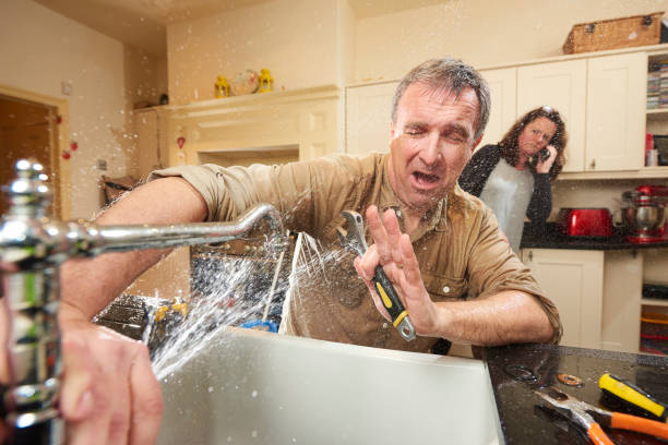 Best Emergency water damage restoration  in Powell, TN
